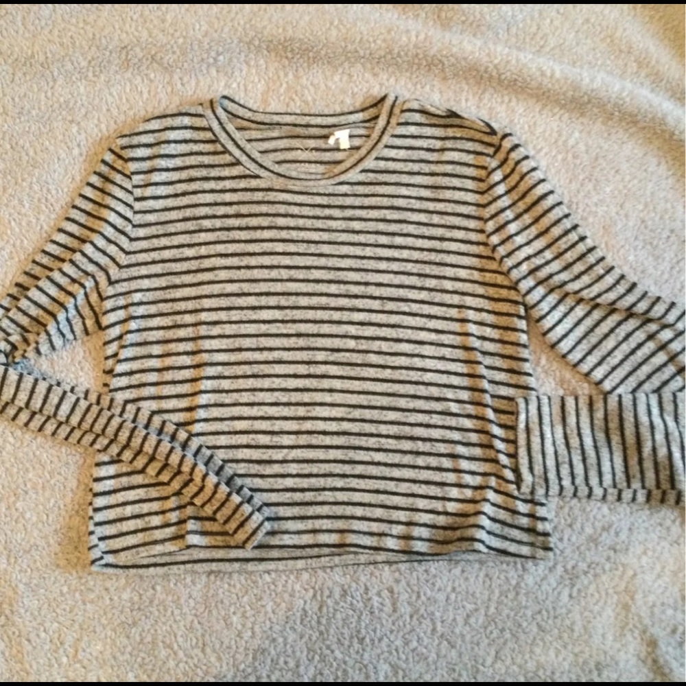 PacSun Basics Long Sleeved Crop Top